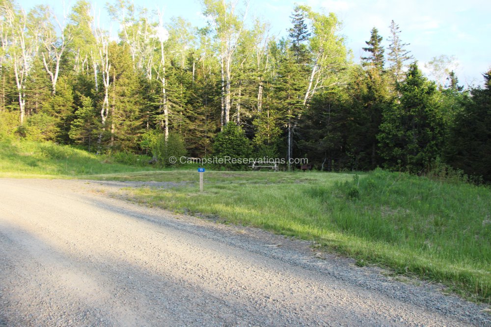 Photo of Campsite 55 in Five Islands Provincial Park Campground at Five